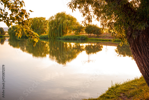 Naturidylle in Wernigerode am Abend