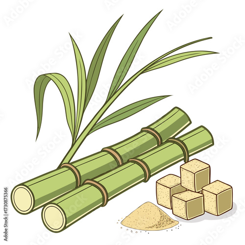 Green sugarcane stalks with leaves, loose sugar and cubes, offering natural sweetness for culinary creations, baking, and healthy lifestyle choices