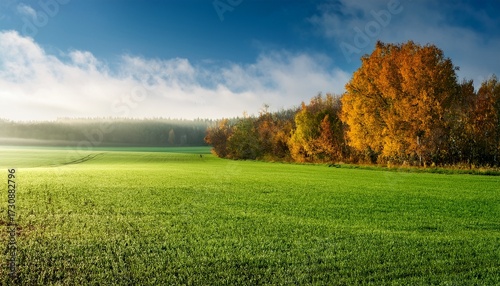 Green Field At Autumnal Morning