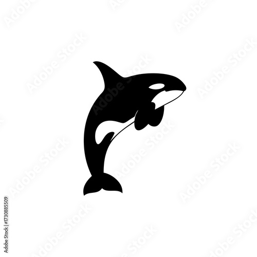 Dynamic Killer Whale Silhouette Leaping, Black and White Orca Vector Illustration of a Powerful Marine Predator