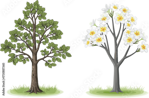 Green leafy tree and white frangipani flowering tree illustration, natural garden design, tropical plant artwork, eco friendly nature, botanical drawing, outdoor decoration, spring summer landscape