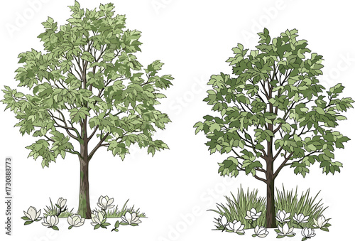 Beautiful illustration of lush green trees with leafy branches and white magnolia flowers blooming at the base in decorative nature design