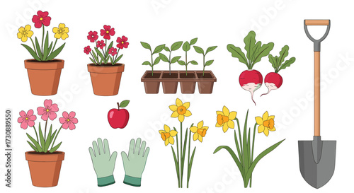A collection of gardening items and plants in pots for spring planting and growth.