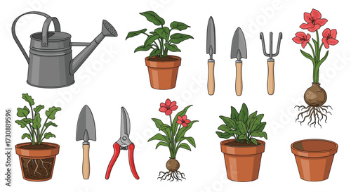 Gardening tools and plants in terracotta pots for your home.