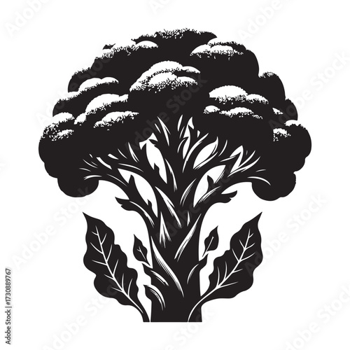 Broccoli  Silhouettes