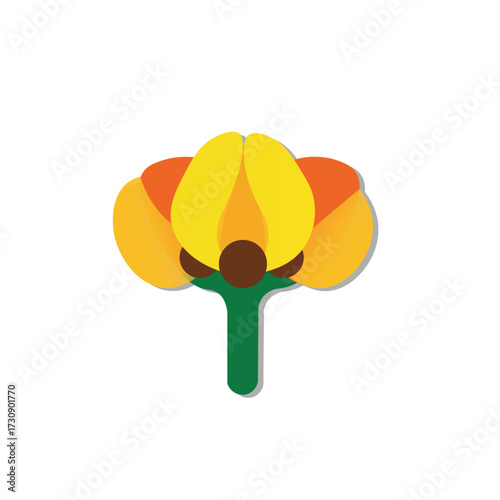 Stylized illustration of a Acacia blooming yellow and orange flower with a green stem and brown center, presented against a clean white background.
