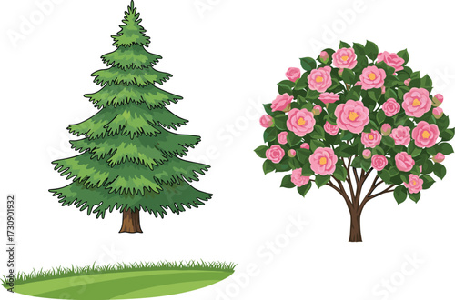 Green pine tree vector, pink rose flower tree illustration, natural botanical design, outdoor 