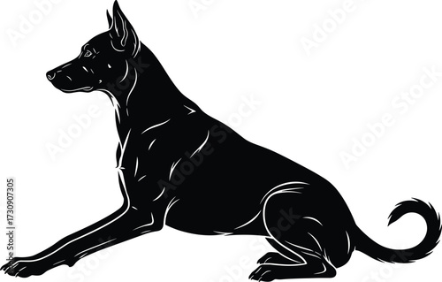 Realistic dog silhouette in sitting pose with curled tail, pointed ears, muscular contour lines, black vector illustration, pet animal design