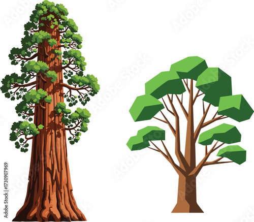 Realistic Redwood and Stylized Geometric Tree Comparison with Foliage Texture, Trunk Detail, Artistic Forest Scene for Botanical Illustration Diversity