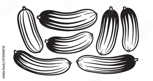 Armenian Cucumber Vegetable Line Art Simple Minimal Design