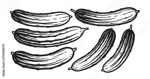 Armenian Cucumber Vegetable Line Art Simple Minimal Design