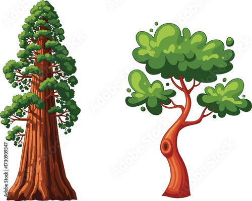 Stylized Redwood and Curved Deciduous Tree Comparison with Foliage Clusters, Trunk Texture, Artistic Forest Scene for Botanical Illustration Diversity