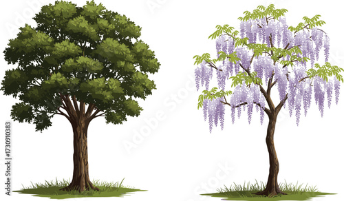 Green leafy tree and purple flowering tree illustration, botanical nature artwork, seasonal contrast design element, cad drawing flat vector illustration
