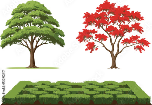 tree, foliage, seasonal, deciduous, autumn, spring, ornamental, hedge, maze, landscape, design, vector, illustration, green, red, trunk, contrast, flora, outdoor, comparison