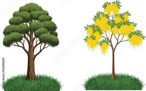 tree, foliage, blossom, seasonal, deciduous, flowering, ornamental, yellow, hanging, nature, landscape, vector, illustration, green, trunk, contrast, flora, outdoor, botanical, design, comparison
