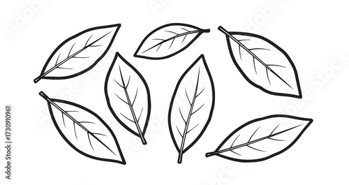 Bay Leaf (fresh) Vegetable Line Art Organic Food Design