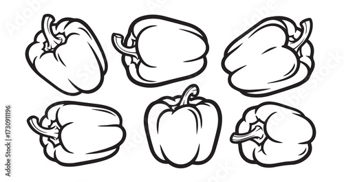 Bell Pepper (Capsicum) Vegetable Line Art Minimal Outline Drawing