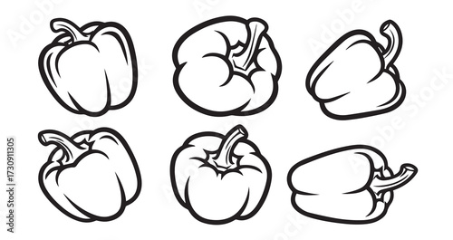Bell Pepper (Capsicum) Vegetable Line Art Minimal Outline Drawing