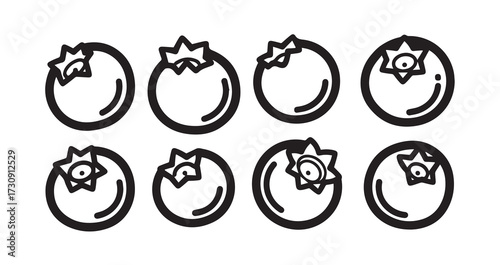 Blueberry Fruits Line Art Simple Minimalist Vector