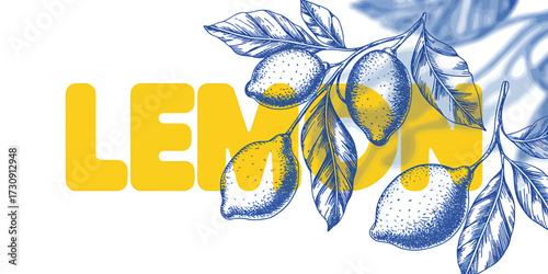Vibrant Lemon Graphic Illustration with Blue Sketch and Yellow Text for Fresh and Zesty Design Elements