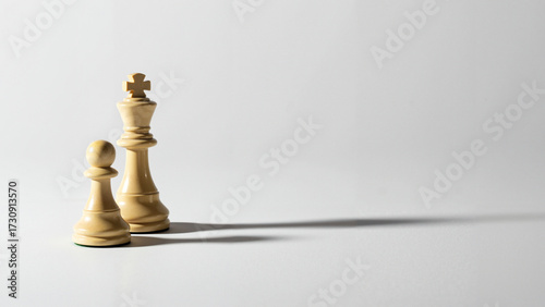 The main figures in chess, the king and the pawn, with long shadows on a white background  