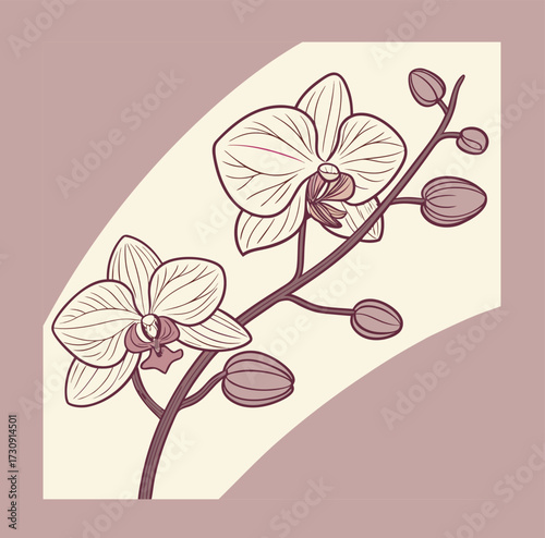 Flowers and Leaves Design Elements