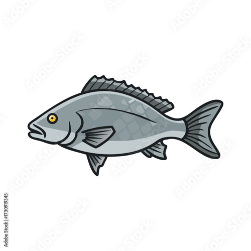 Illustration of a gray fish with yellow eye and prominent dorsal fin
