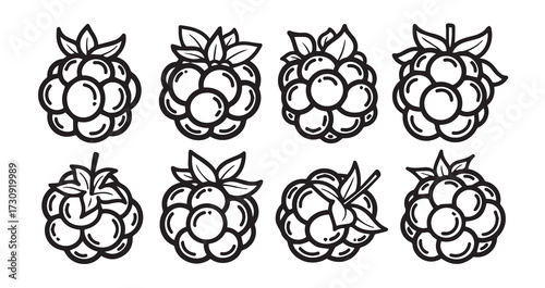 Cloudberry Fruits Line Art Hand Drawn Fruit Outline