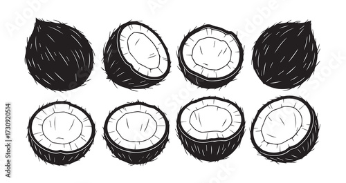 Coconut Fruits Line Art Minimal Outline Drawing