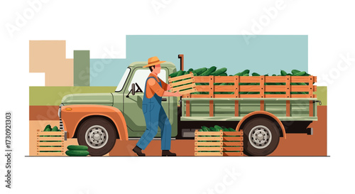 Farmer loading a vintage truck with crates of fresh cucumbers at the farm ready for market
