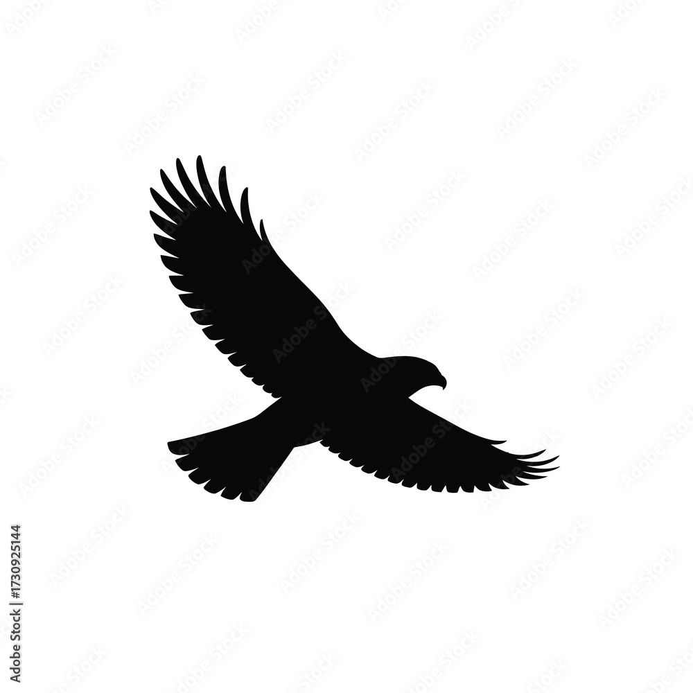 Obraz premium Silhouette of a powerful hawk soaring in flight with wings outstretched on a