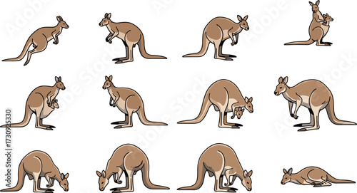 Vector illustration of kangaroo in various poses including jumping, standing, grazing, resting, and mother with joey for wildlife artwork