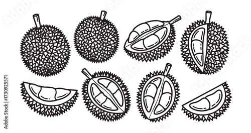 Durian Fruits Line Art Healthy Fresh Food Sketch