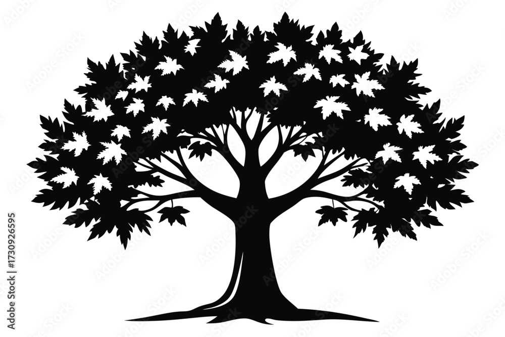 Obraz premium Silhouette of a Maple Tree with Dense Foliage, Dark Branches and Trunk