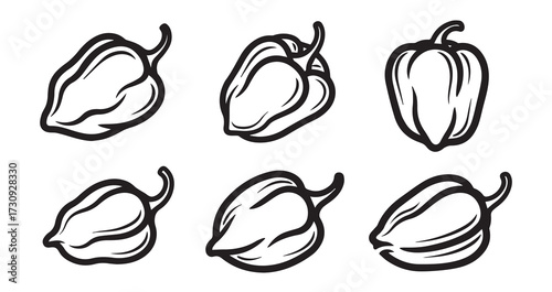 Habanero Vegetable Line Art Hand Drawn Leaf Vector