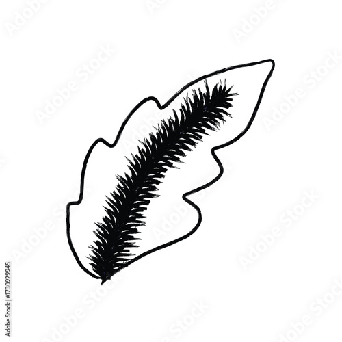 Detailed black and white drawing of a fern frond with textured center