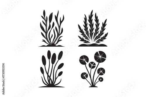 Four silhouette illustrations of aquatic plants and seaweed