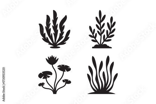 Four black silhouette illustrations of aquatic plants and seaweed