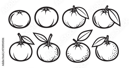 Mandarin Fruits Line Art Natural Organic Outline Design