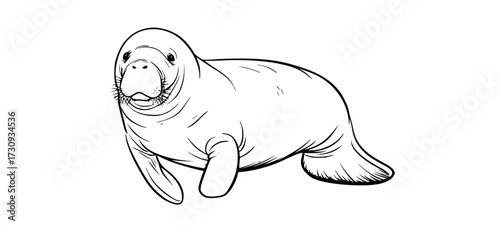 a drawing of a cute manatee on a plain transparent backgroundanimal, drawing, illustration, seal, tusk, walrus 