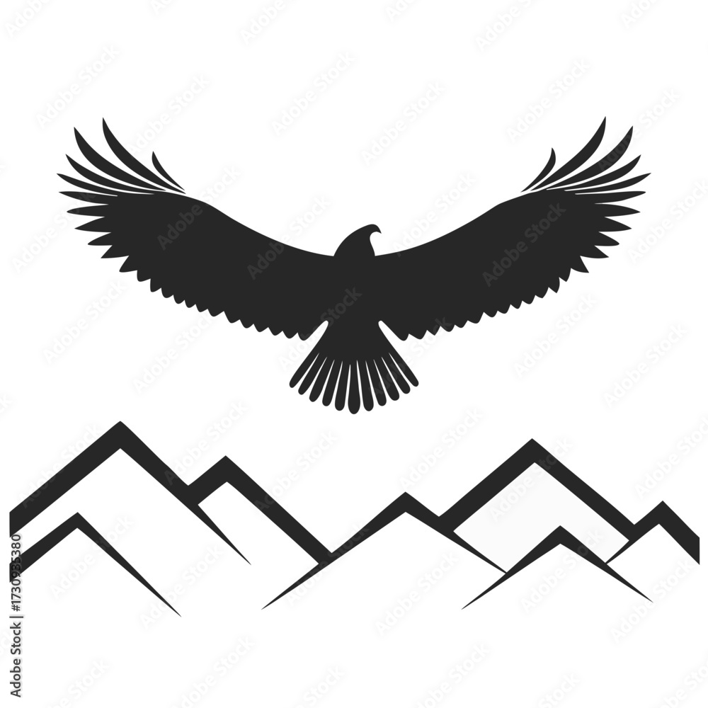 Obraz premium eagle with wings