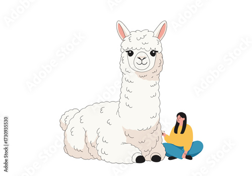 A cute white llama sitting peacefully with a person petting it gently.