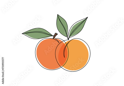 Two ripe peaches with green leaves and stylized outlines