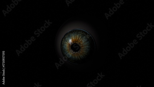 3D model of a human eye on a black background, a large pupil with iris details and highlights, eye