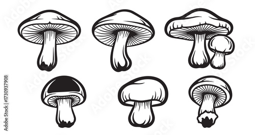 Mushroom Line Art Hand Drawn Leaf Vector