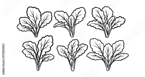 Mustard Greens Vegetable Line Art Healthy Organic Outline
