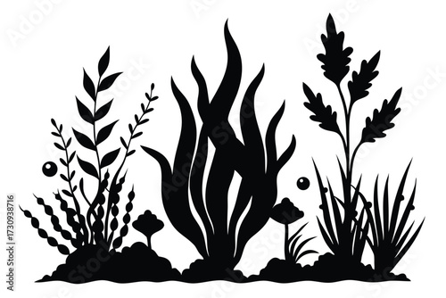 Silhouette of Aquatic Plants, Including Various Seaweed and Grasses, with Bubbles Accompanying