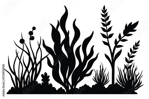 Black Silhouette of Aquatic Plants Seaweed, Bulrushes, and Grasses Vector Graphic Design Element