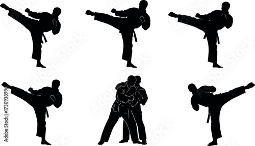 Martial arts silhouette set featuring high kicks and grappling techniques for combat training, fitness, self-defense, and sports illustration use