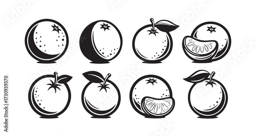 Orange Fruits Line Art Simple Minimalist Vector